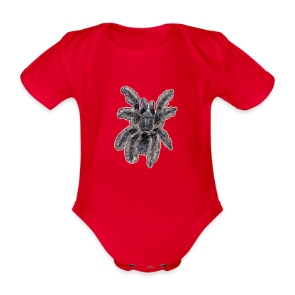 Baby Body kurz Tliltocatl albopilosus - Rot