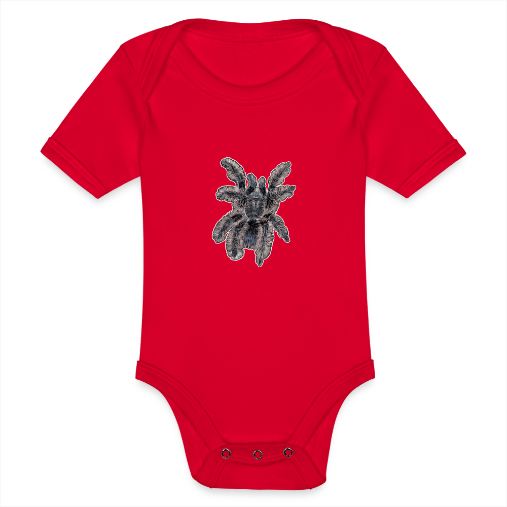 Baby Body kurz Tliltocatl albopilosus - Rot