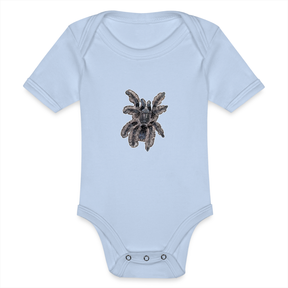 Baby Body kurz Tliltocatl albopilosus - Sky