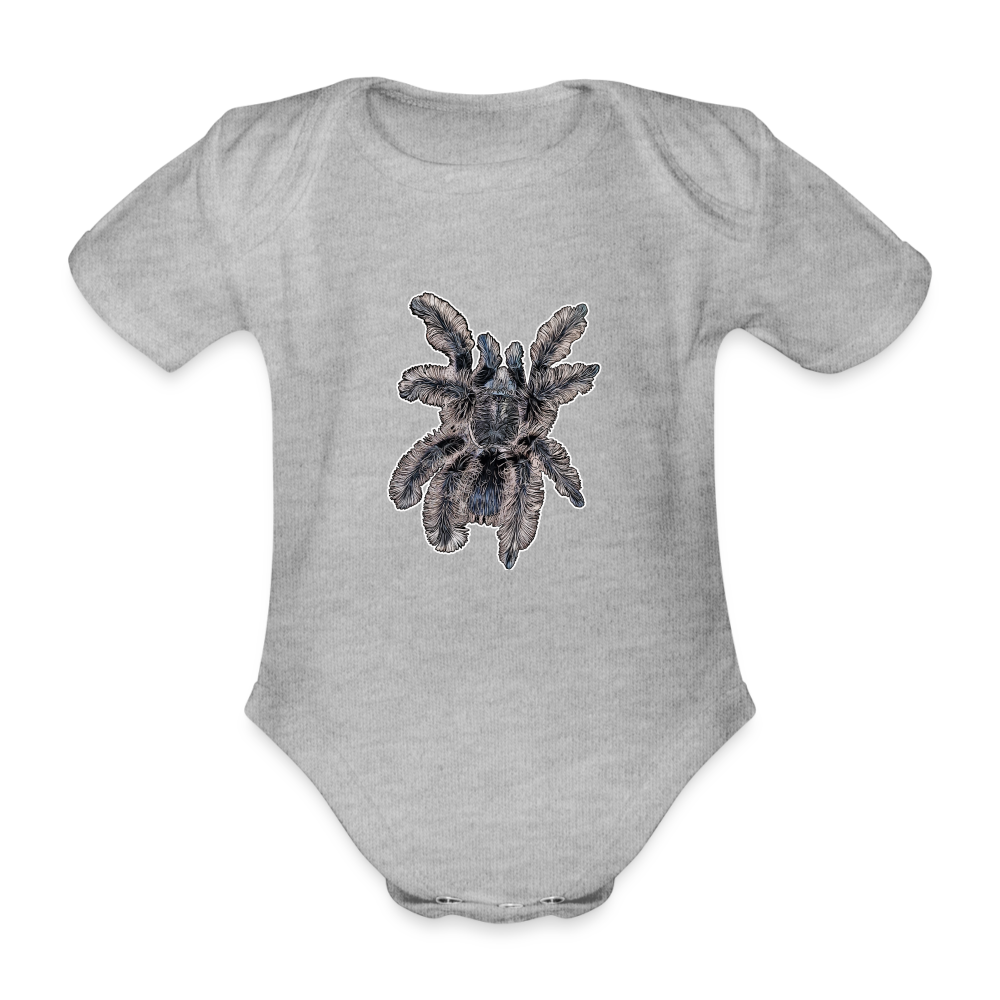 Baby Body kurz Tliltocatl albopilosus - Grau meliert