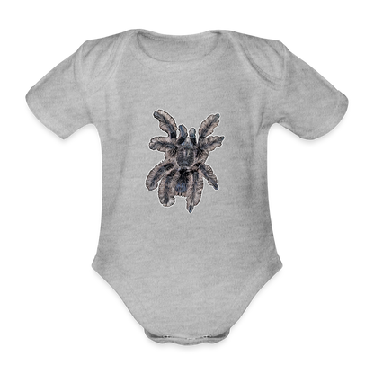 Baby Body kurz Tliltocatl albopilosus - Grau meliert