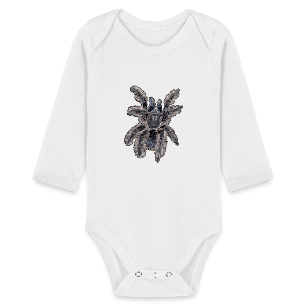 Baby Body lang Tliltocatl albopilosus - weiß