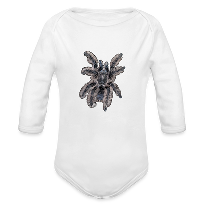 Baby Body lang Tliltocatl albopilosus - weiß