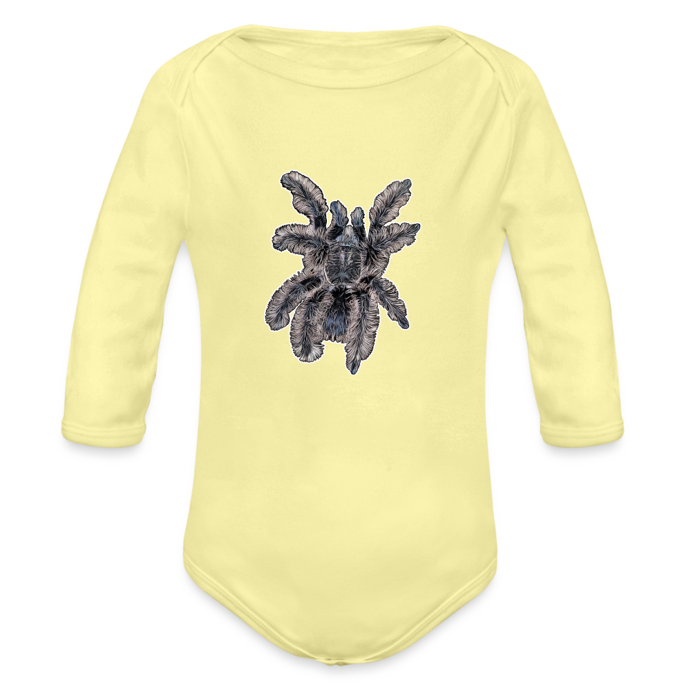 Baby Body lang Tliltocatl albopilosus - Hellgelb