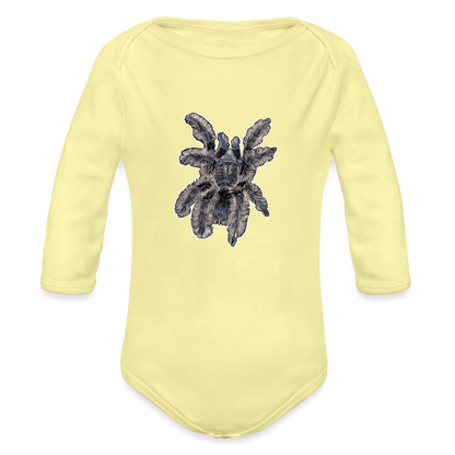 Baby Body lang Tliltocatl albopilosus - Hellgelb