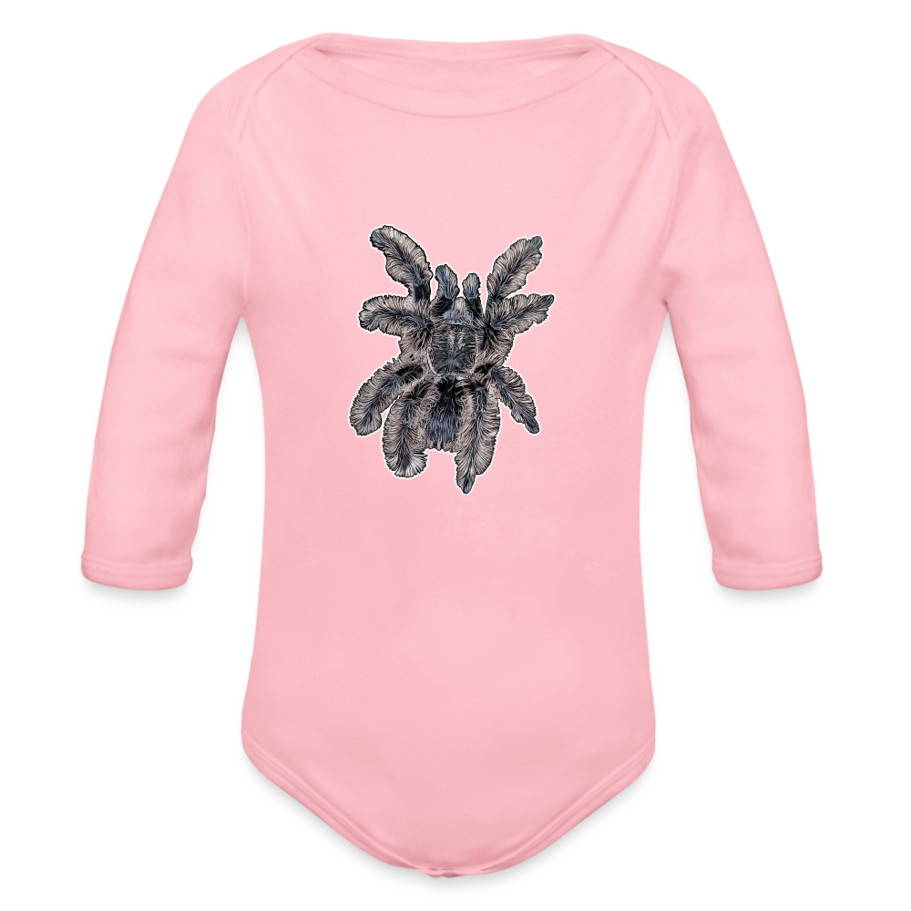 Baby Body lang Tliltocatl albopilosus - Hellrosa