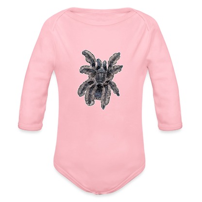 Baby Body lang Tliltocatl albopilosus - Hellrosa