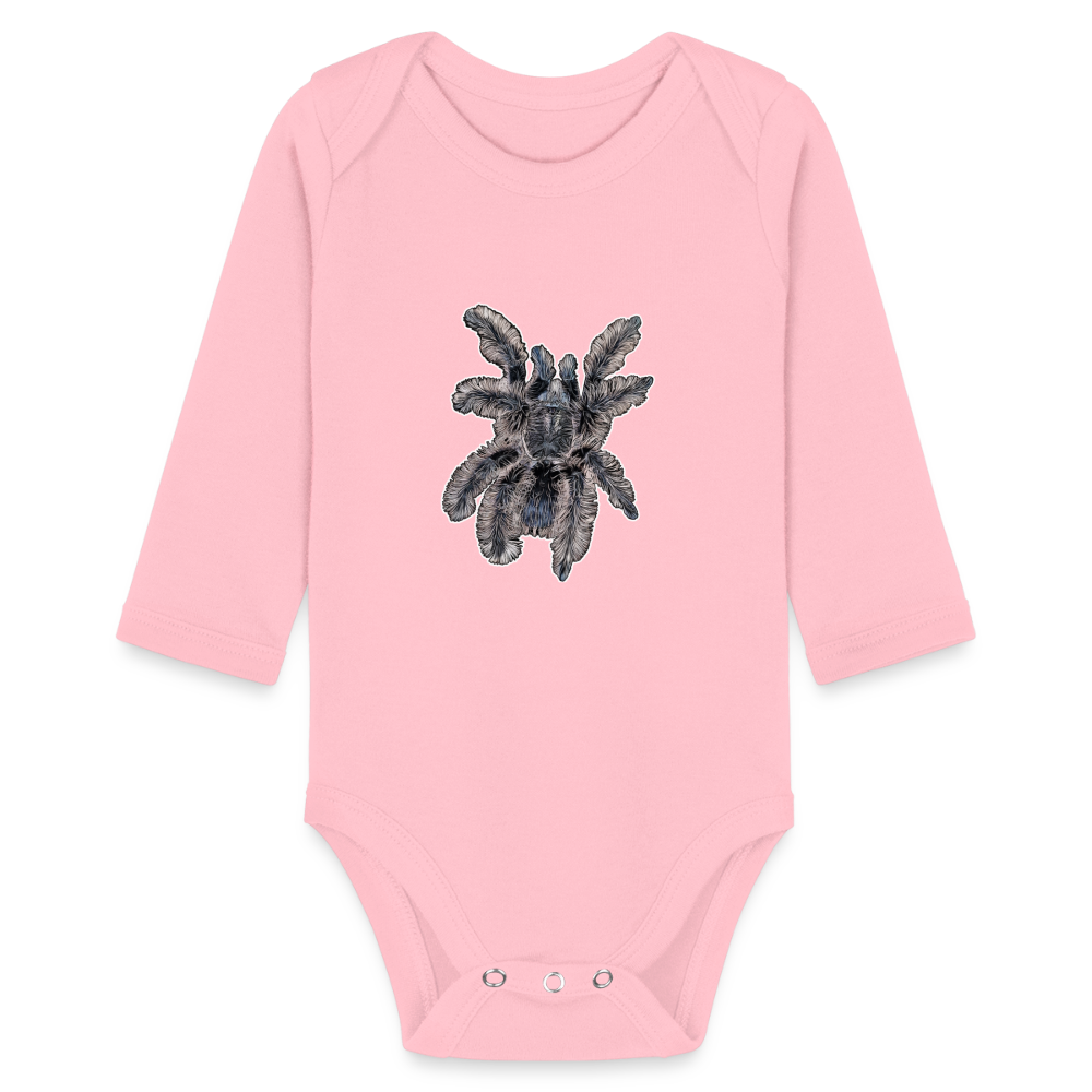 Baby Body lang Tliltocatl albopilosus - Hellrosa