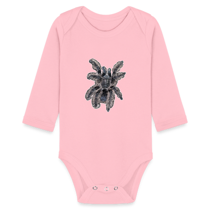 Baby Body lang Tliltocatl albopilosus - Hellrosa