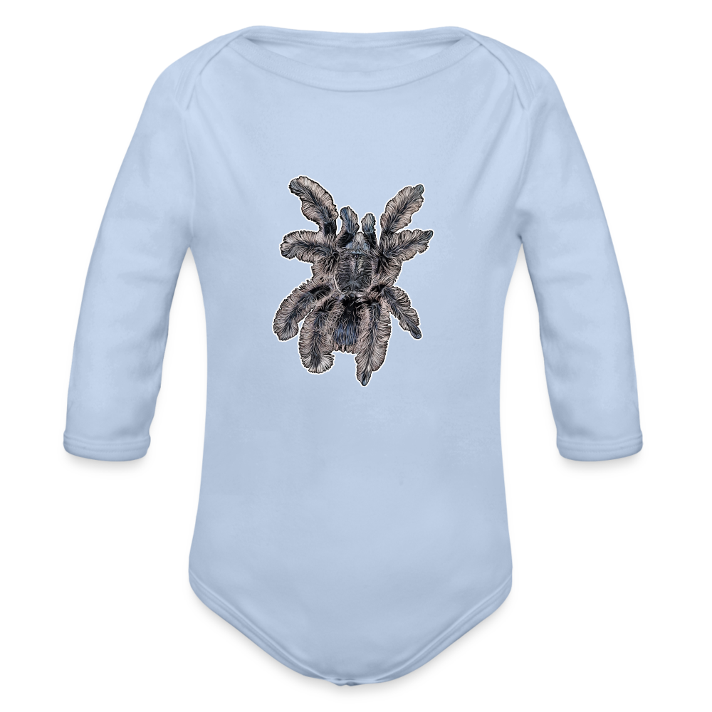 Baby Body lang Tliltocatl albopilosus - Sky