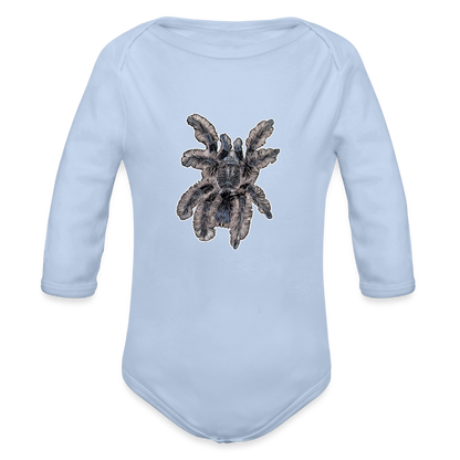 Baby Body lang Tliltocatl albopilosus - Sky