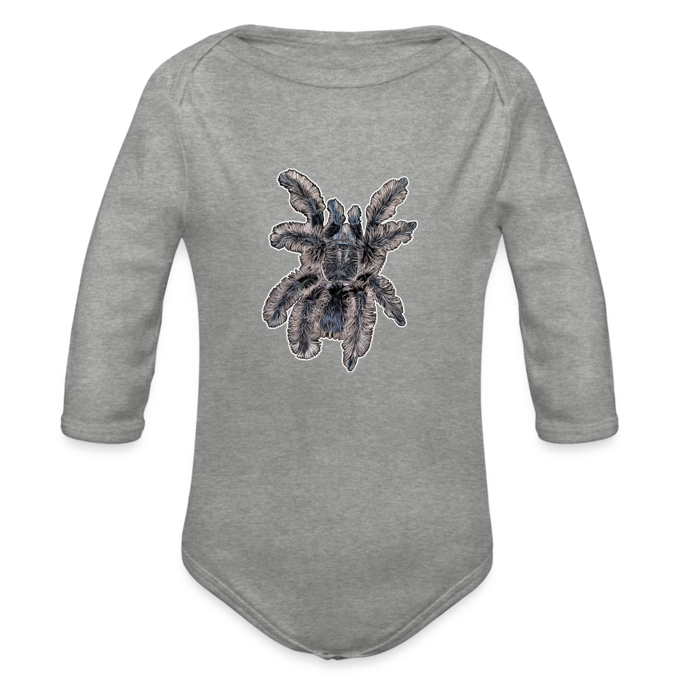 Baby Body lang Tliltocatl albopilosus - Grau meliert