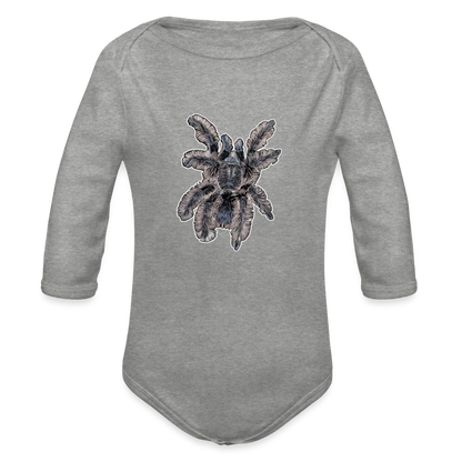 Baby Body lang Tliltocatl albopilosus - Grau meliert