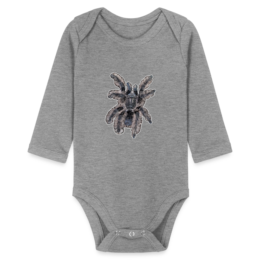 Baby Body lang Tliltocatl albopilosus - Grau meliert