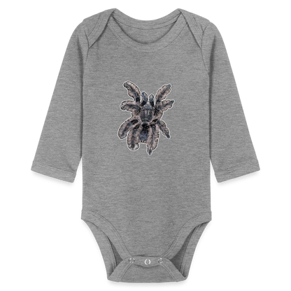 Baby Body lang Tliltocatl albopilosus - Grau meliert