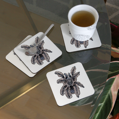 Untersetzer 4er Set Tliltocatl albopilosus - weiß