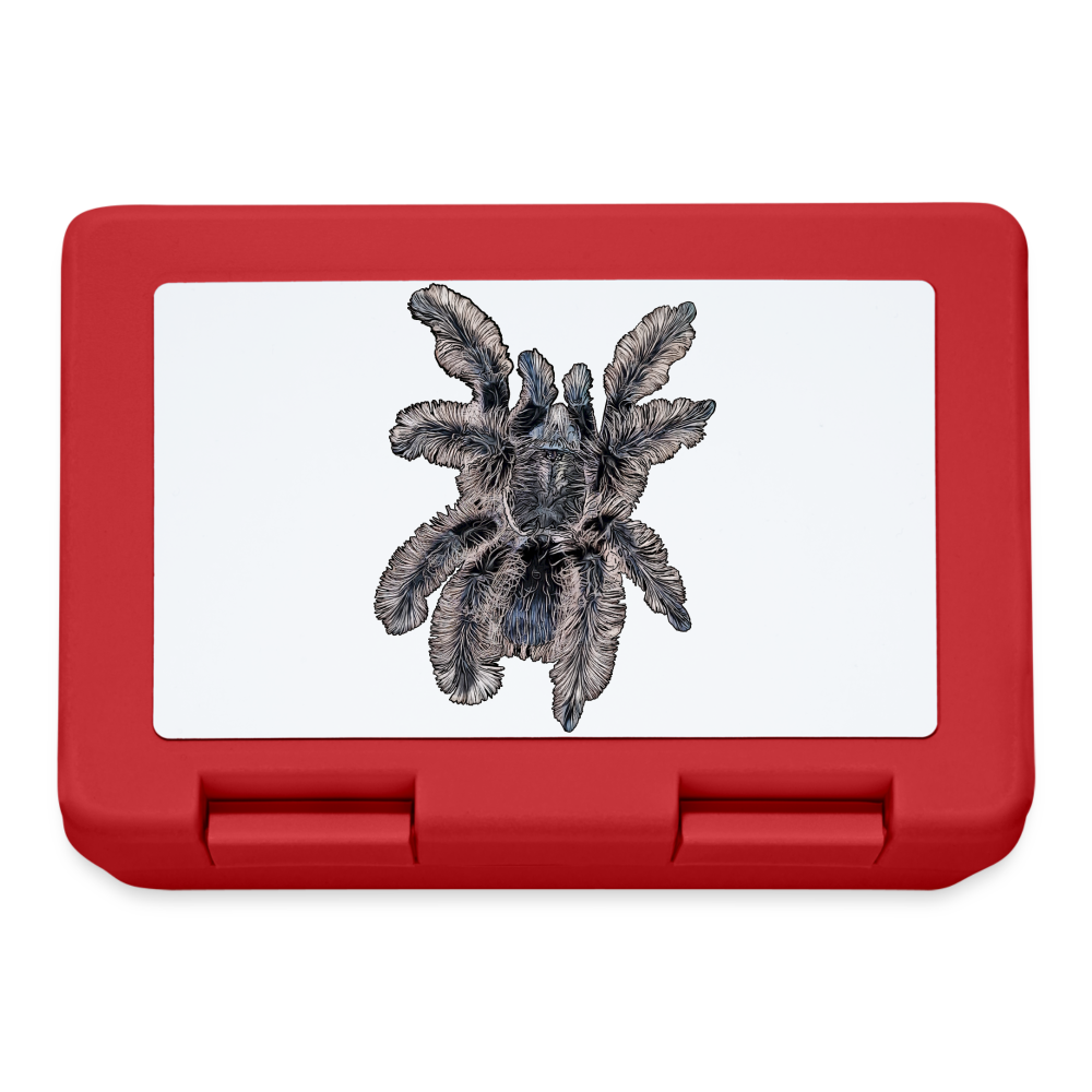 Lunchbox Tliltocatl albopilosus - Rot