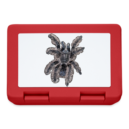 Lunchbox Tliltocatl albopilosus - Rot