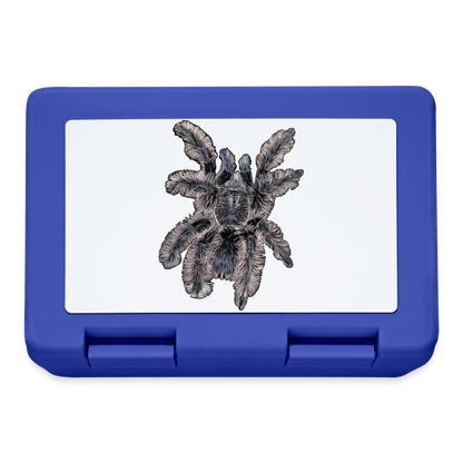 Lunchbox Tliltocatl albopilosus - Royalblau