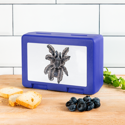 Lunchbox Tliltocatl albopilosus - Royalblau