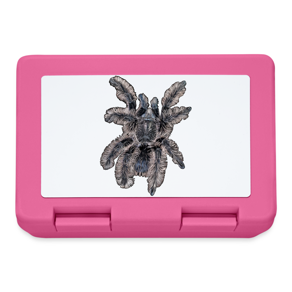 Lunchbox Tliltocatl albopilosus - Pink