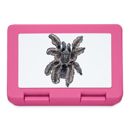 Lunchbox Tliltocatl albopilosus - Pink
