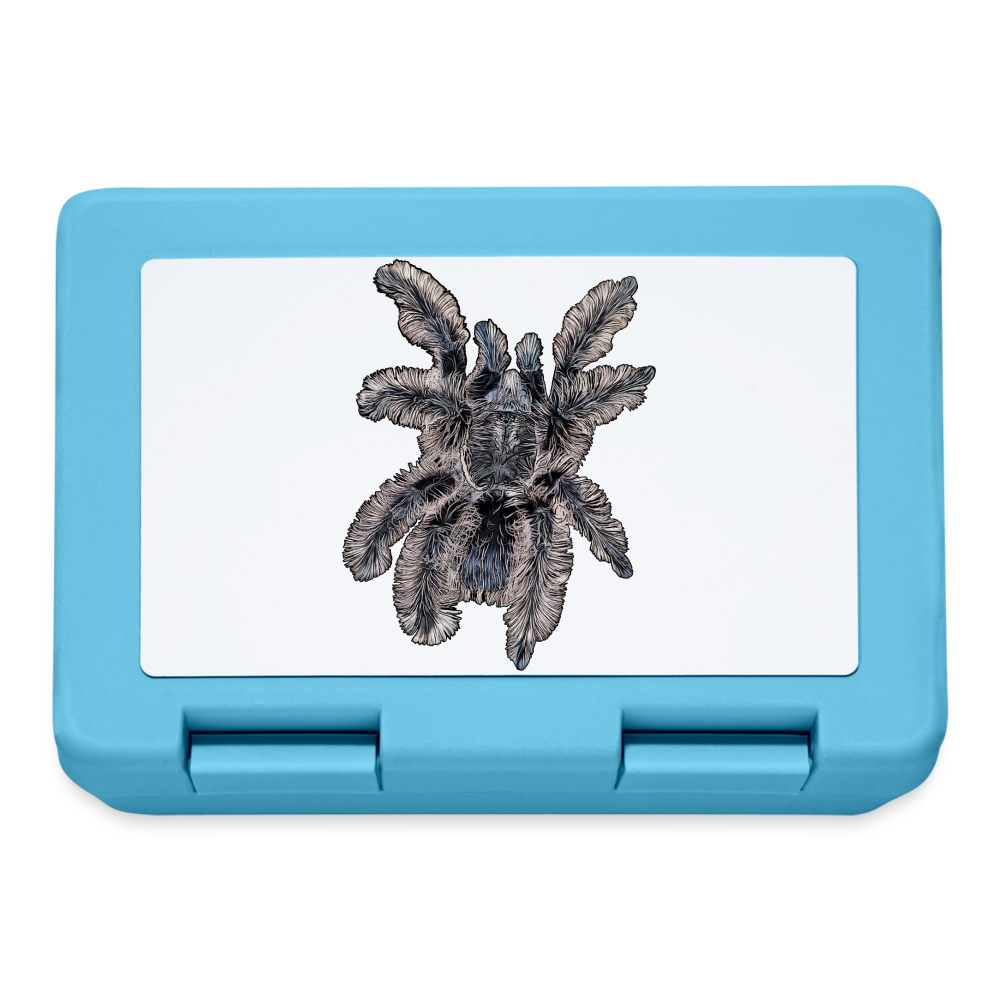 Lunchbox Tliltocatl albopilosus - Saphirblau