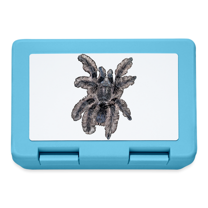 Lunchbox Tliltocatl albopilosus - Saphirblau