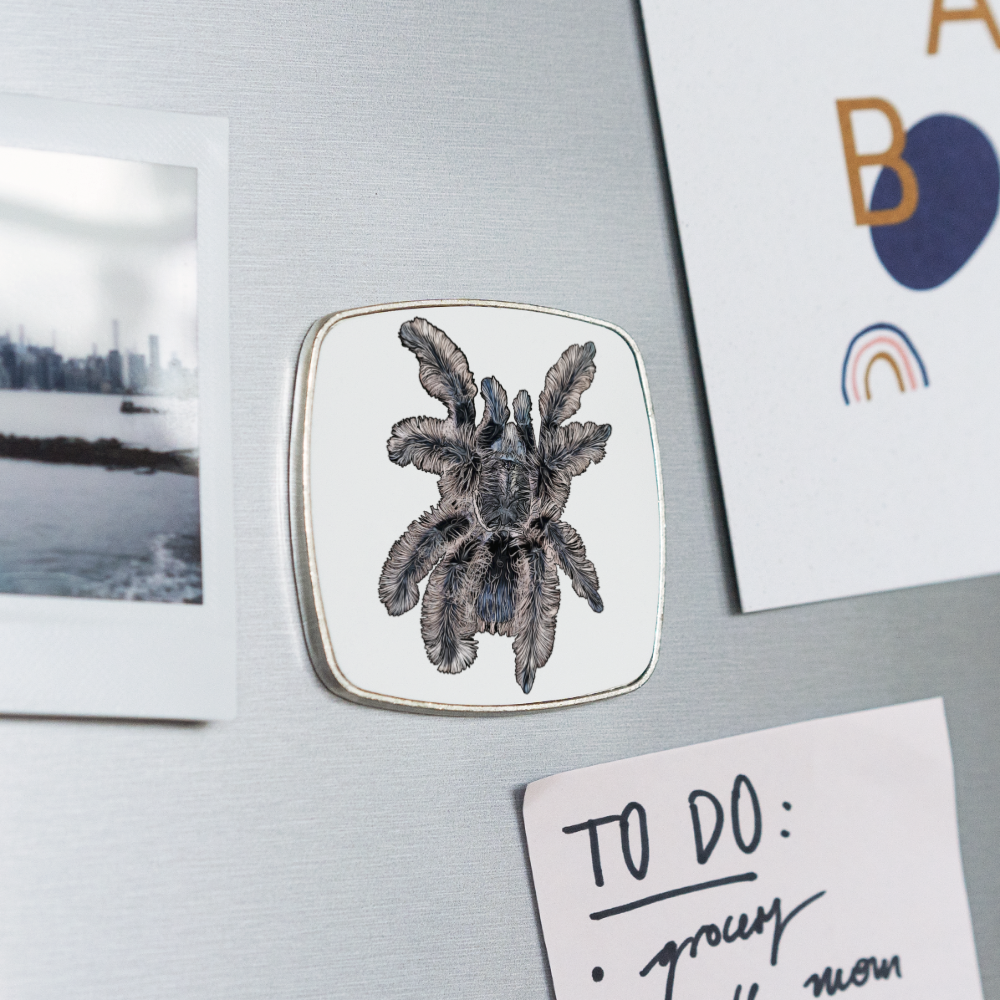 Kühlschrankmagnet eckig Tliltocatl albopilosus - weiß