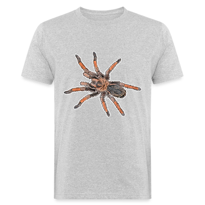 Männer Bio-T-Shirt Brachypelma emilia - Grau meliert