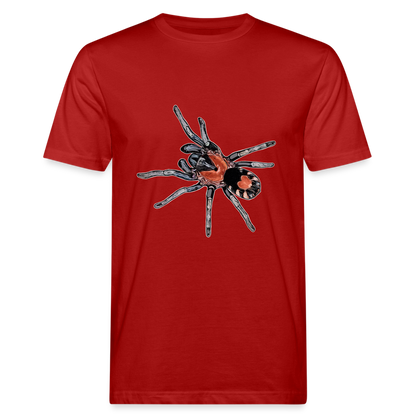 Männer Bio-T-Shirt Cyriocosmus elegans - Dunkelrot