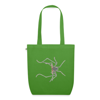 Bio-Stoffbeutel Euphrynichus bacillifer - Blattgrün