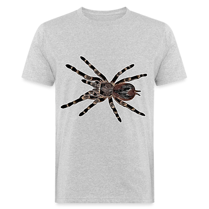 Männer Bio-T-Shirt Acanthoscurria geniculata - Grau meliert