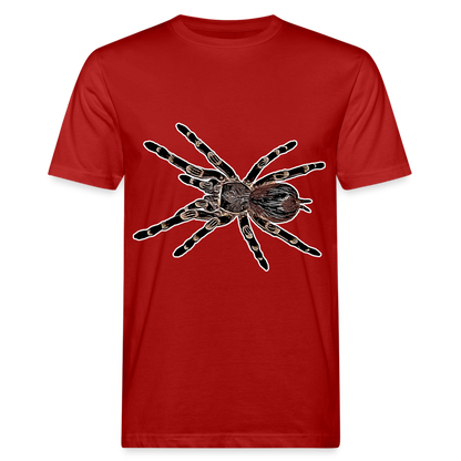 Männer Bio-T-Shirt Acanthoscurria geniculata - Dunkelrot