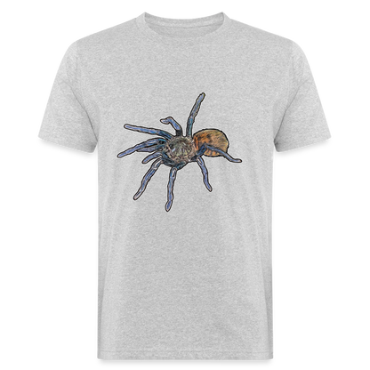 Männer Bio-T-Shirt Chromatopelma cyaneopubescens - Grau meliert