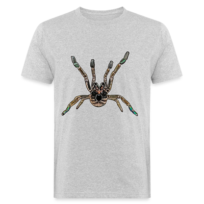 Männer Bio-T-Shirt Pterinochilus murinus tcf - Grau meliert