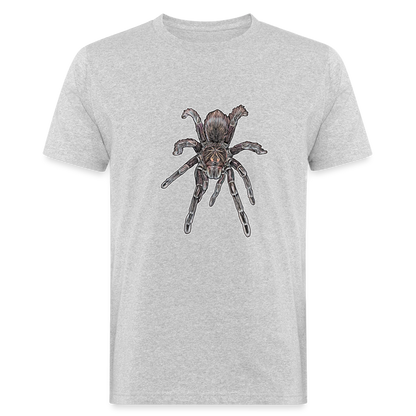 Männer Bio-T-Shirt Pamphobeteus sp Machala juvenile - Grau meliert