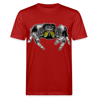 Männer Bio-T-Shirt Phidippus regius Rastafari male - Dunkelrot