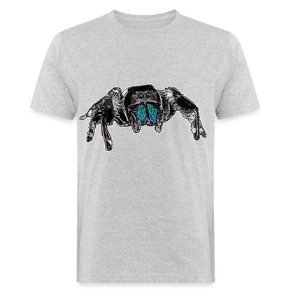 Männer Bio-T-Shirt Phidippus regius Everglades male - Grau meliert