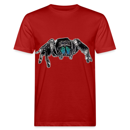 Männer Bio-T-Shirt Phidippus regius Everglades male - Dunkelrot