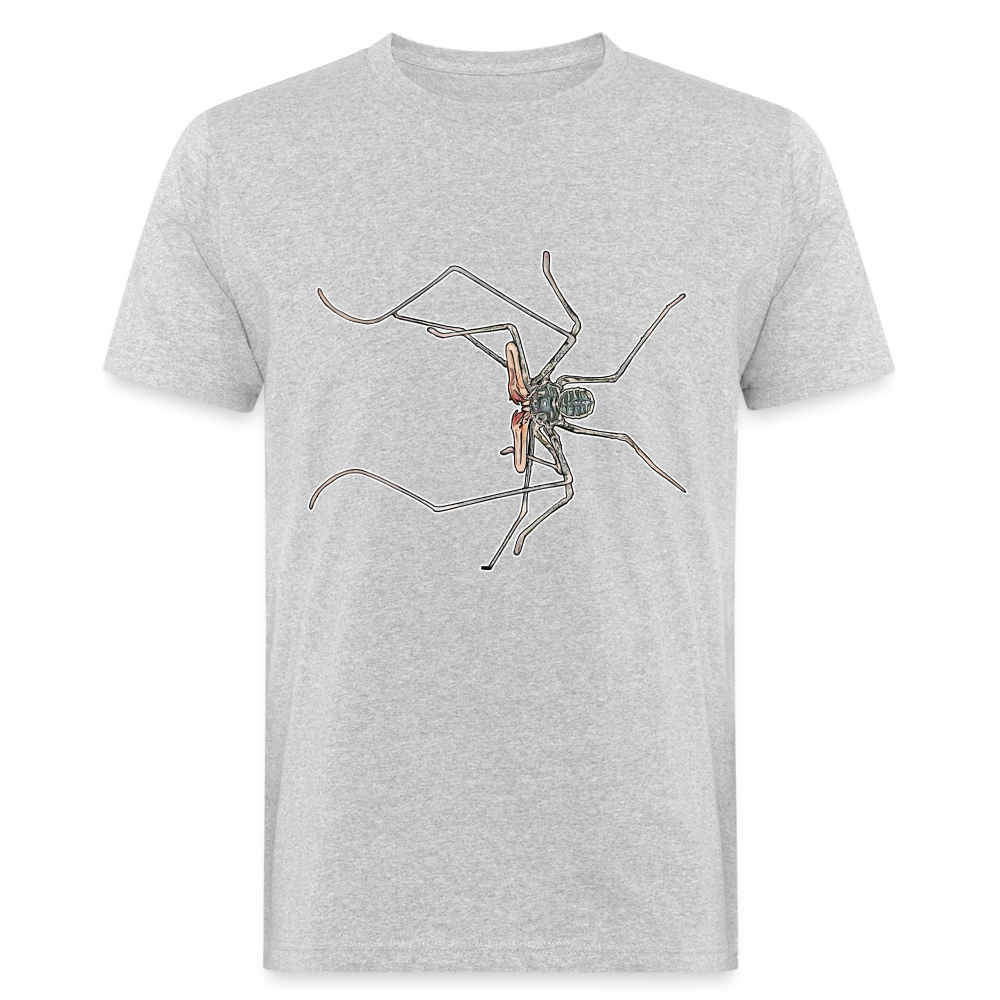 Männer Bio-T-Shirt Euphrynichus bacillifer - Grau meliert