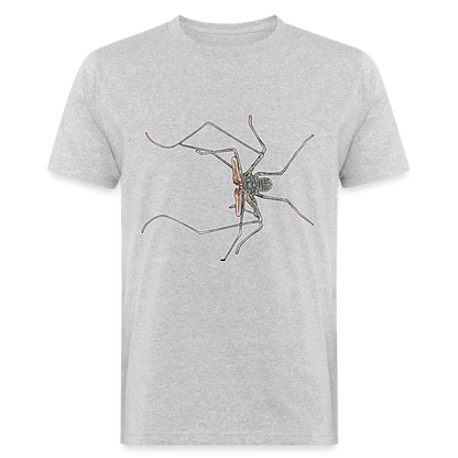 Männer Bio-T-Shirt Euphrynichus bacillifer - Grau meliert