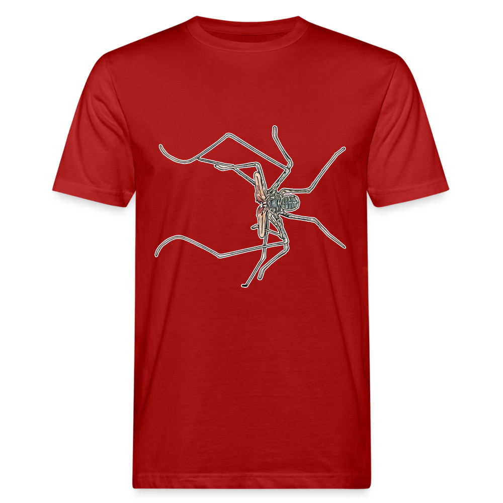 Männer Bio-T-Shirt Euphrynichus bacillifer - Dunkelrot
