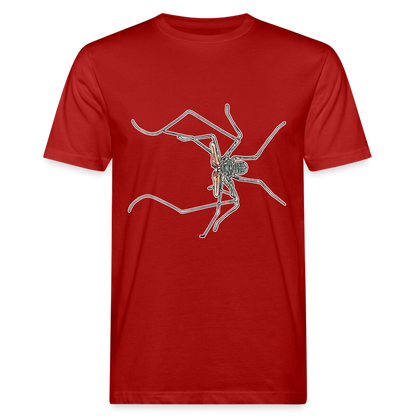 Männer Bio-T-Shirt Euphrynichus bacillifer - Dunkelrot