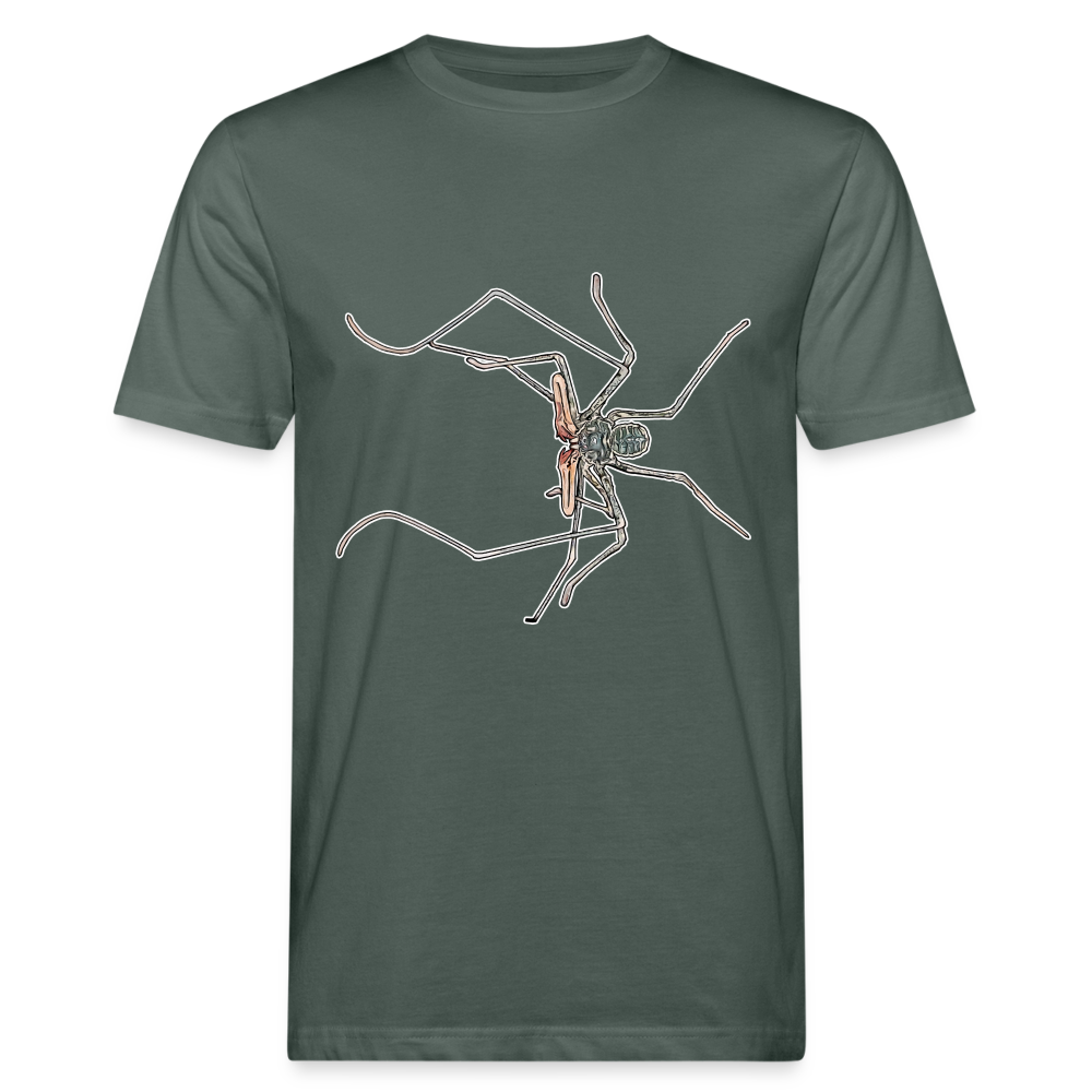 Männer Bio-T-Shirt Euphrynichus bacillifer - Graugrün