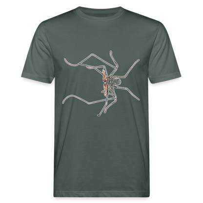 Männer Bio-T-Shirt Euphrynichus bacillifer - Graugrün