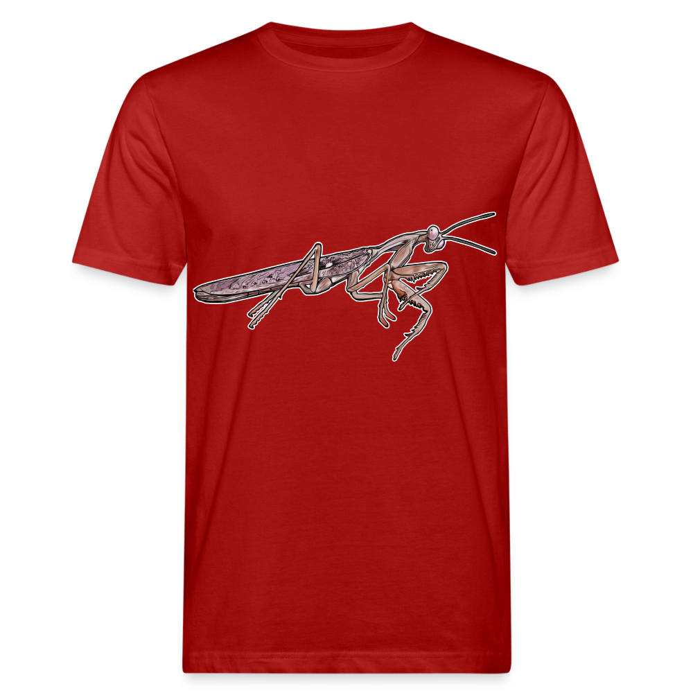 Männer Bio-T-Shirt Rhombodera kirbyi male - Dunkelrot