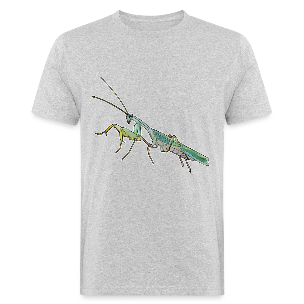 Männer Bio-T-Shirt Sphodromantis lineola male - Grau meliert