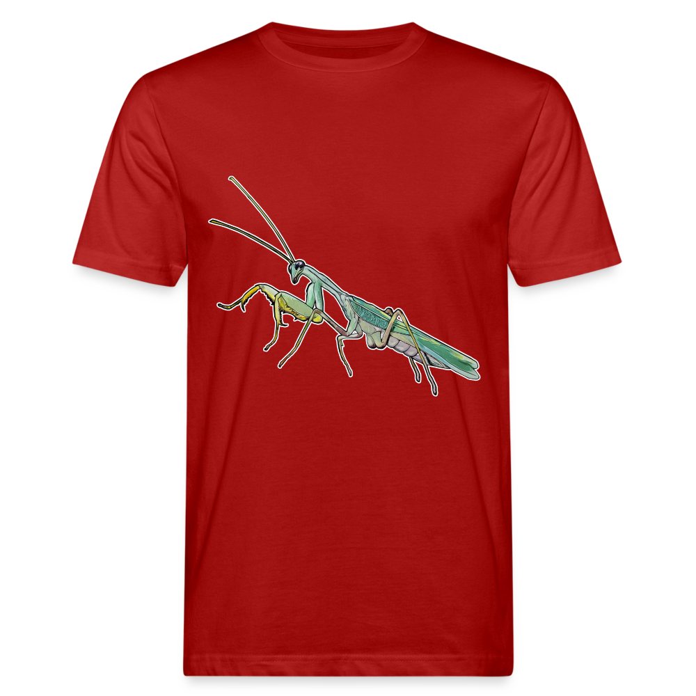 Männer Bio-T-Shirt Sphodromantis lineola male - Dunkelrot