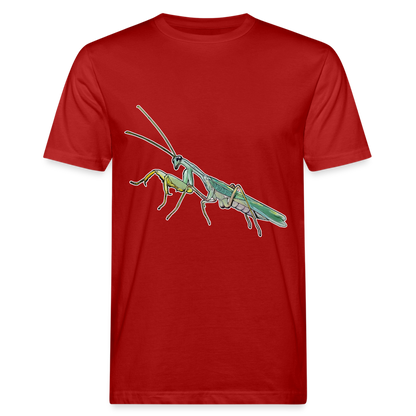 Männer Bio-T-Shirt Sphodromantis lineola male - Dunkelrot